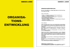 Organisationentwicklung